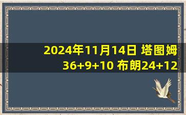 2024年11月14日 塔图姆36+9+10 布朗24+12 扎伊尔-威廉姆斯23分 绿军大胜篮网